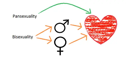 bisexual vs pansexual
