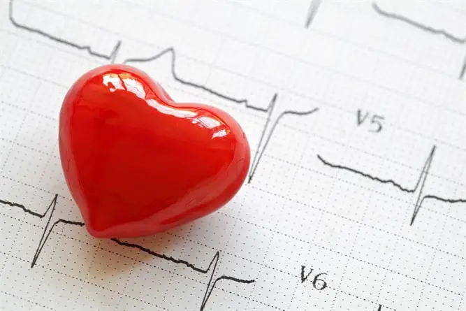 Stroke Vs. Heart Attack: What Are The Main Differences?