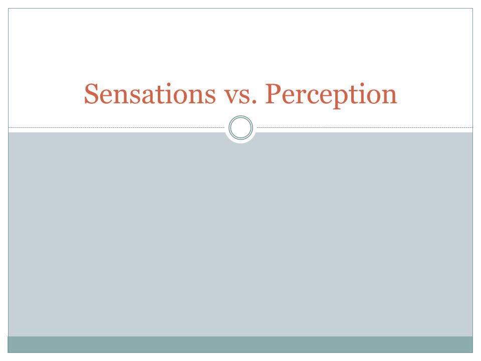 Sensation Vs. Perception: What Are The Main Differences?