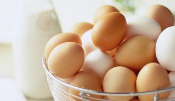 brown Eggs vs white