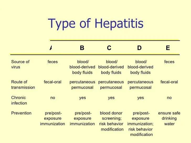 Hepatitis Spread
