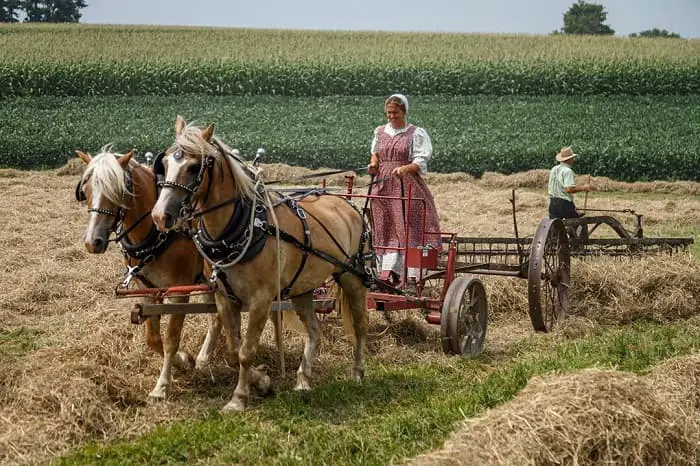 difference between amish and mennonite