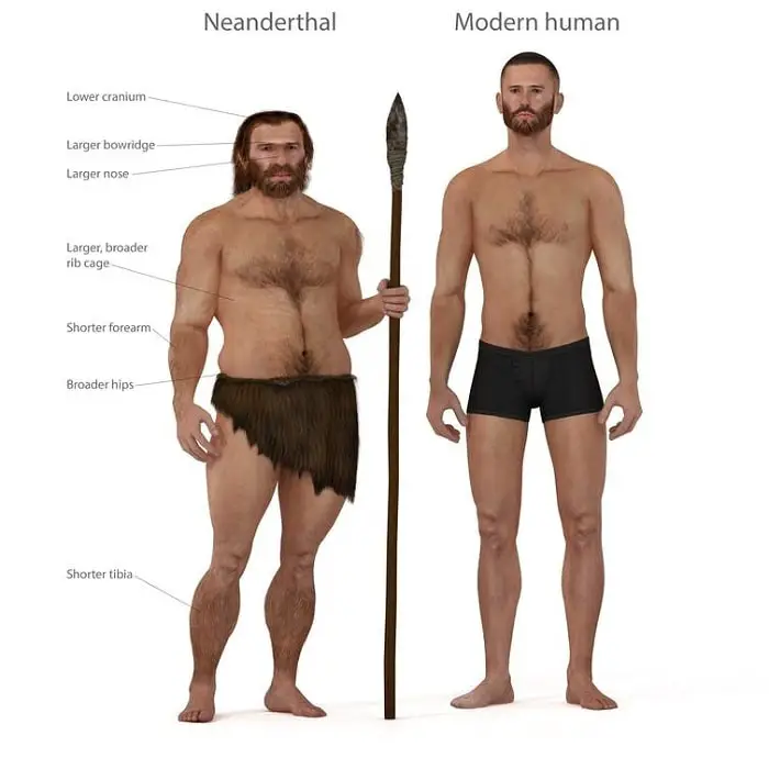Neanderthal-VS.-Homo-Sapien-2.jpg