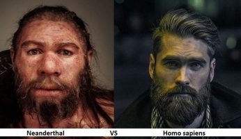 neanderthal vs homosapien