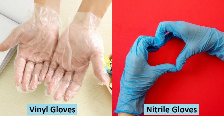 Difference Between Vinyl and Nitrile Gloves