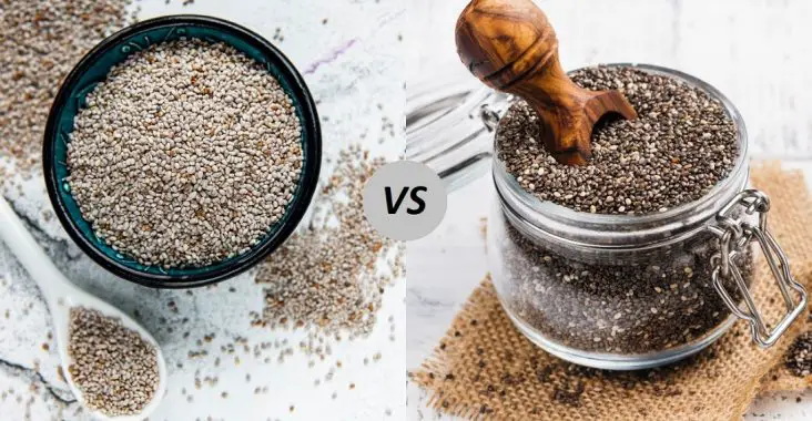 Difference between White and Black Chia Seeds