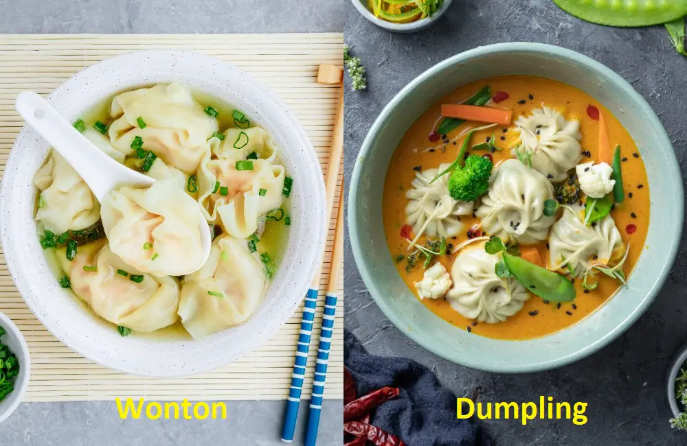 What Are The Differences Between Dumplings and Wontons?