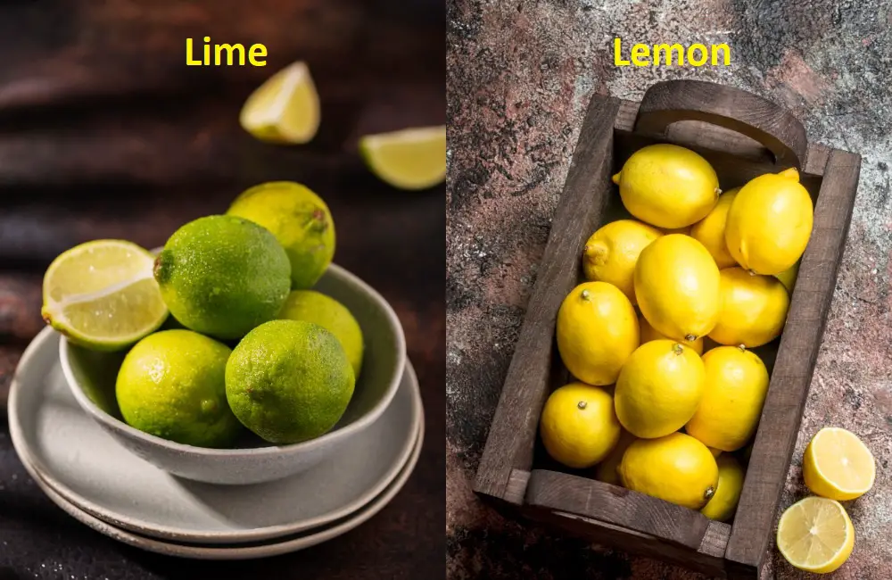 Difference Between Lime and Lemon