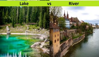 lake vs river