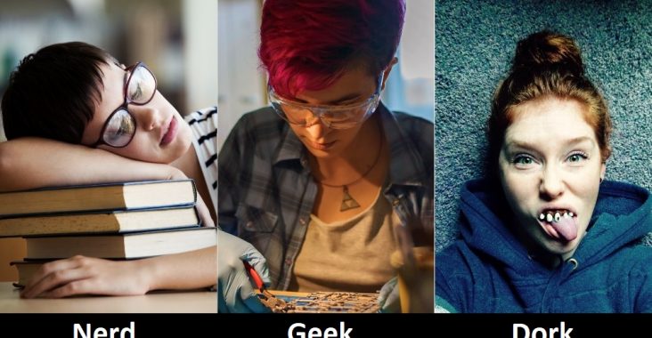 Difference Between Nerd, Geek and Dork