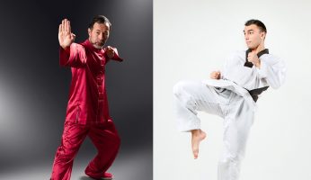 difference between kung fu and karate