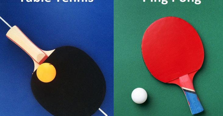 difference between ping pong and table tennis