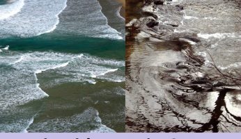 difference between rip tide and current