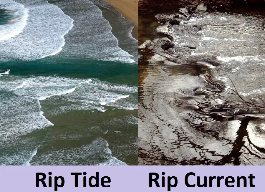 Rip Tide vs. Rip Current