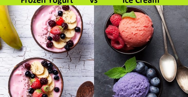 Difference Between Frozen Yogurt and Ice Cream