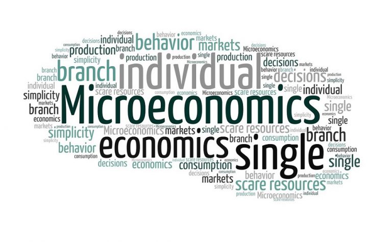 difference-between-microeconomics-and-macroeconomics-difference-camp