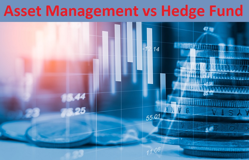 asset management vs hedge fund