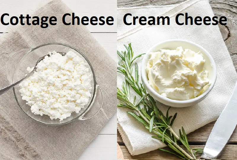 cottage cheese vs cream cheese