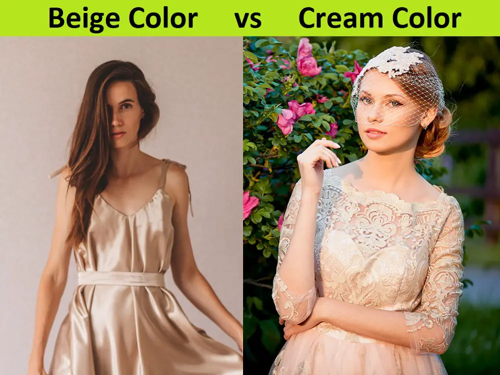 Beige vs Cream Color: The Key Differences