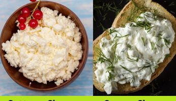 difference between cottage cheese and cream cheese