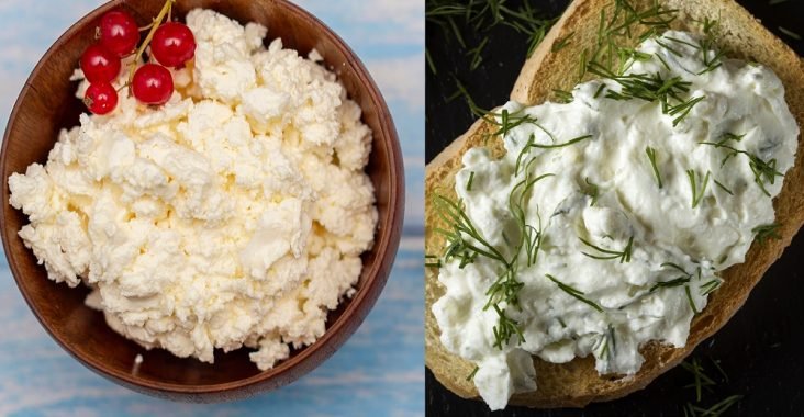 4 Major Differences Between Cottage Cheese And Cream Cheese