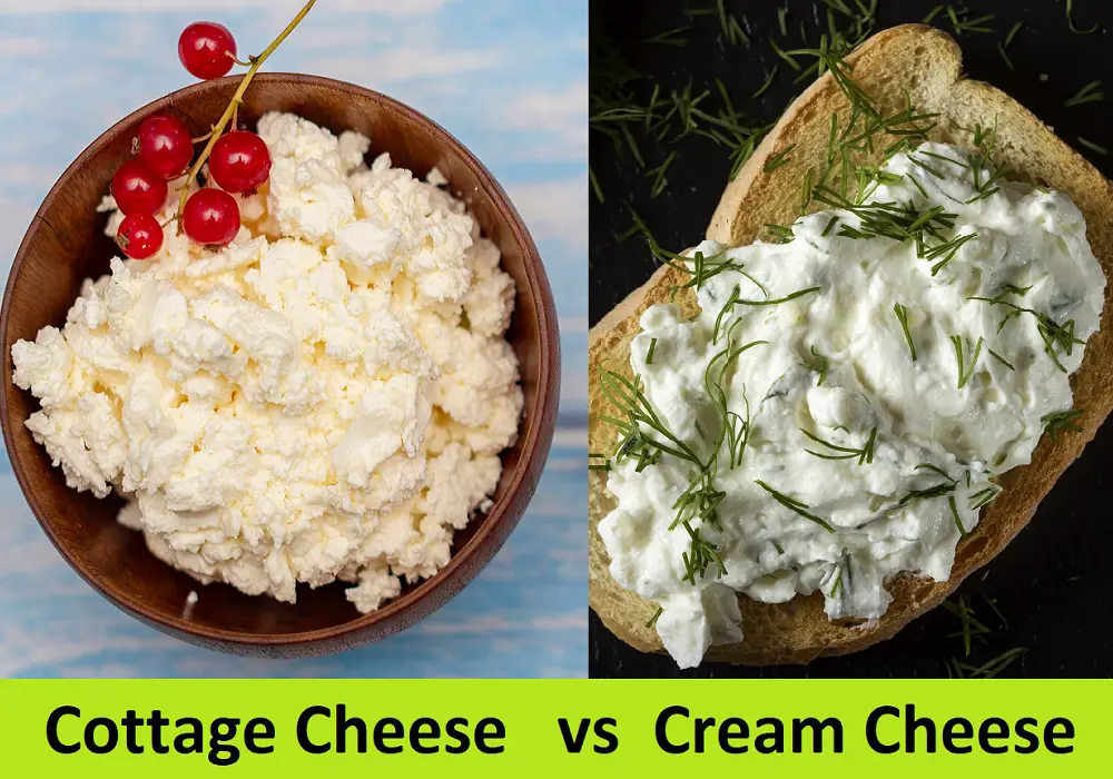 4 Major Differences Between Cottage Cheese and Cream Cheese