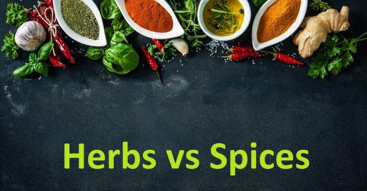 difference between herbs and spices