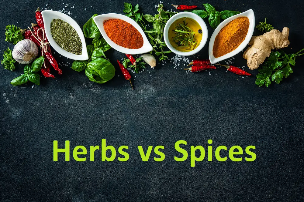 5 Major Differences Between Herbs and Spices