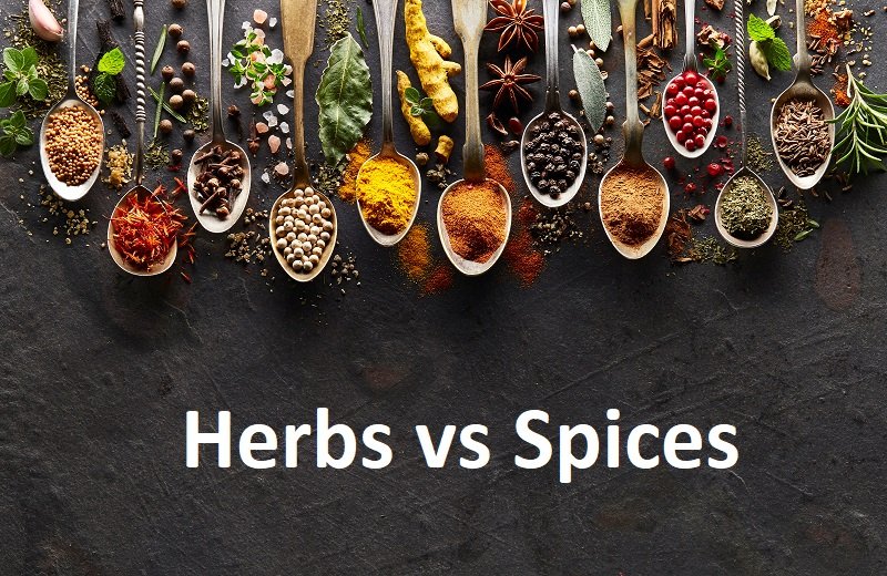 herbs vs spices