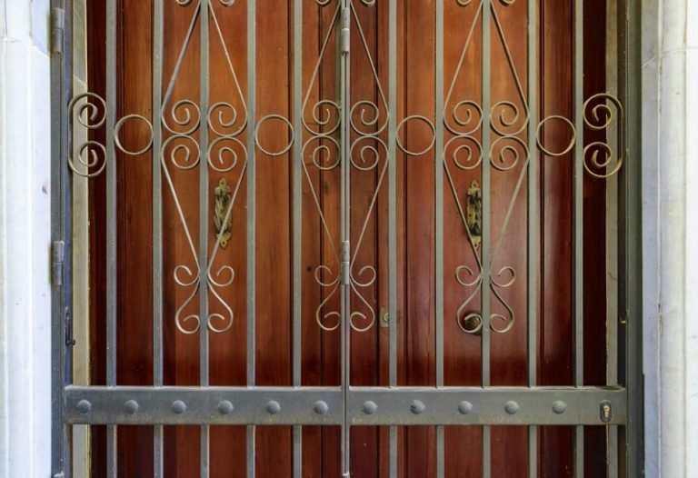 Key Differences between Storm Door and Security Door Difference Camp